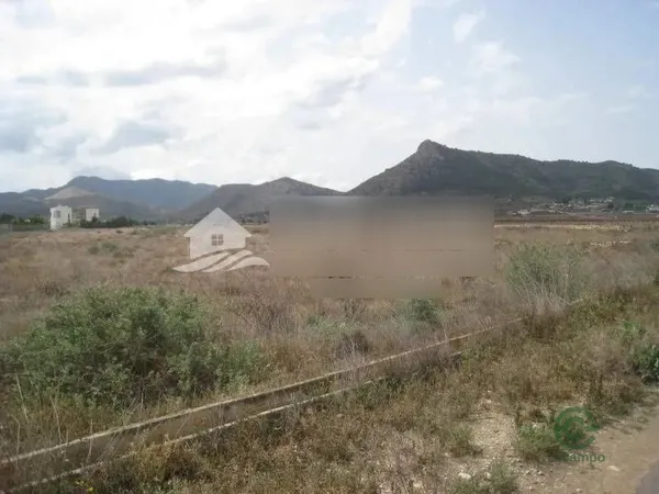 Spot image