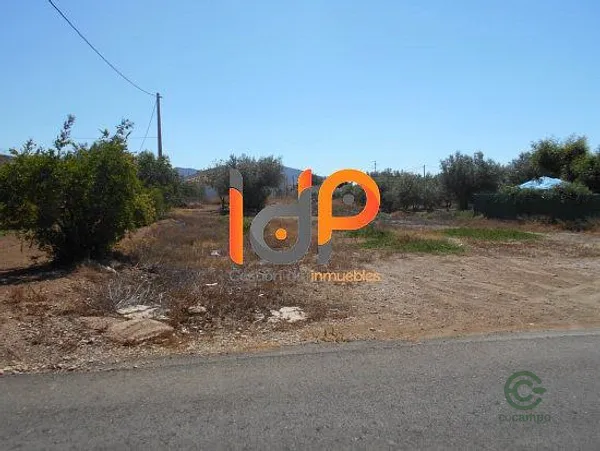 Spot image