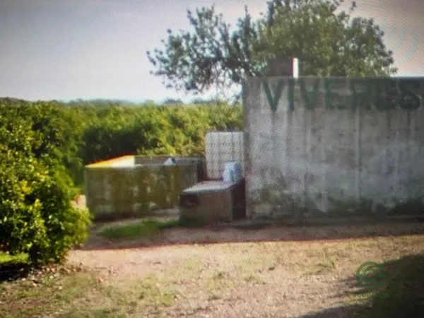 Spot image