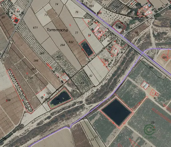 Spot image