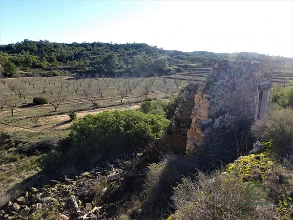 Finca agrícola de 10,09 ha en venta en Fabara, Zaragoza