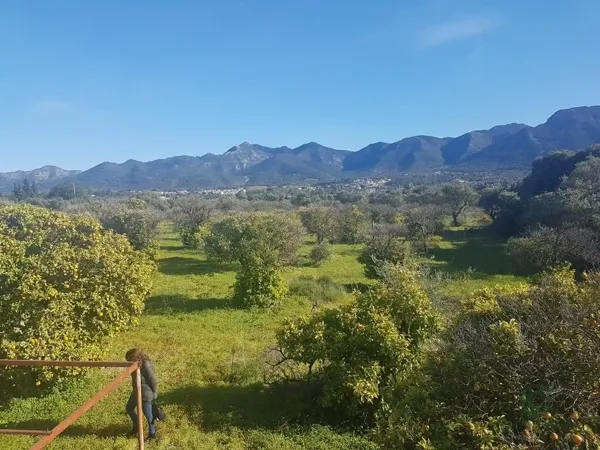 Finca rústica de 5,8431 ha en venta en Alhaurin el grande, Malaga