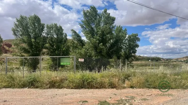 Spot image