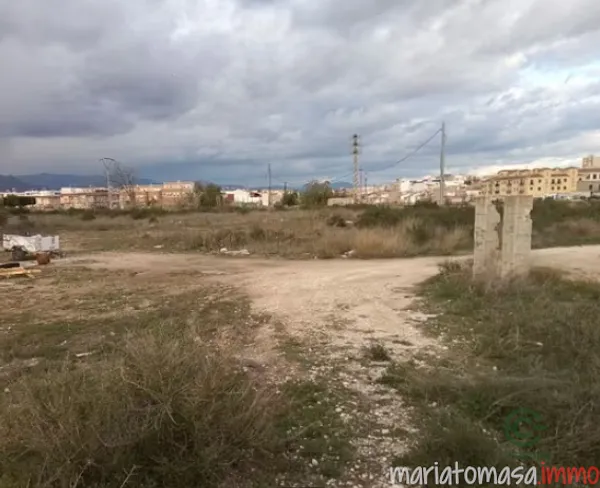 Spot image