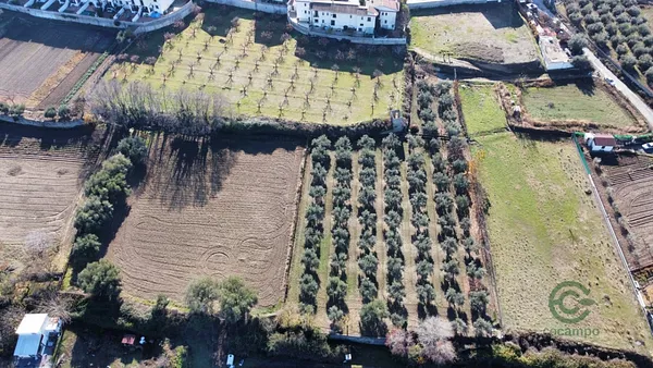 Finca agrícola de 0,3597 ha en venta en La zubia, Granada