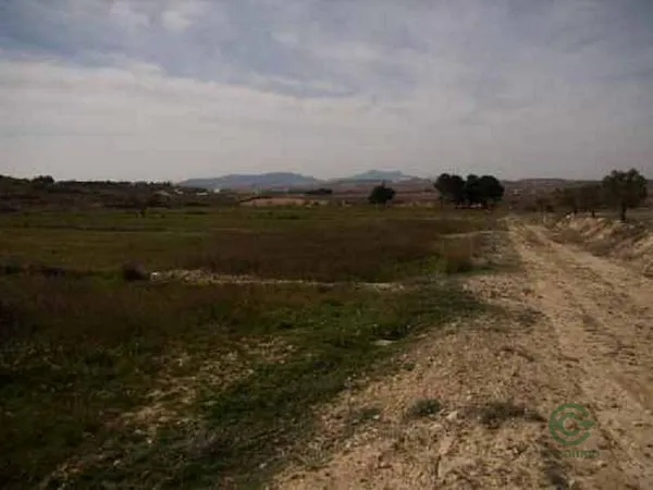 Spot image