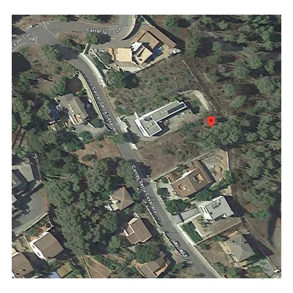 Spot image