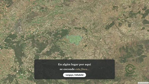 Spot image