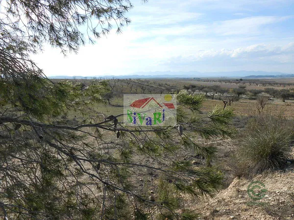 Spot image