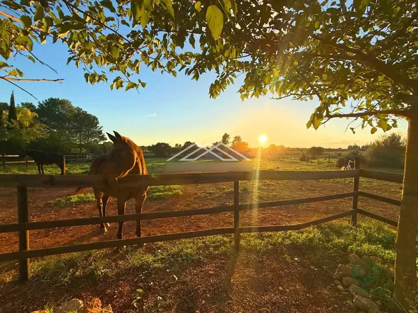 Finca rústica de 1,53 ha en venta en Baleares