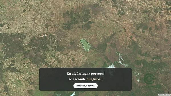 Spot image