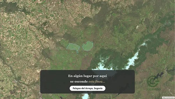 Spot image