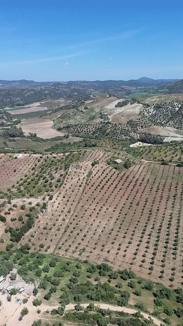 Finca rústica de 37,7 ha en venta en Olvera, Cadiz
