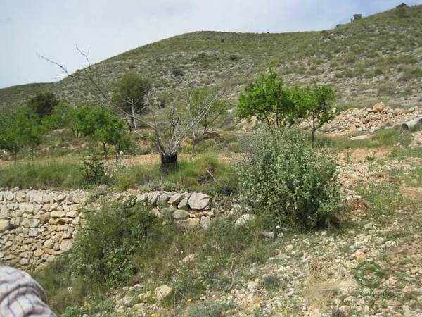 Spot image