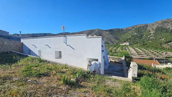 Spot image