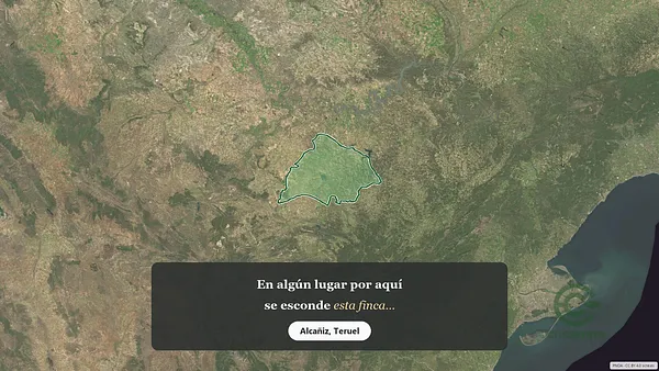 Spot image