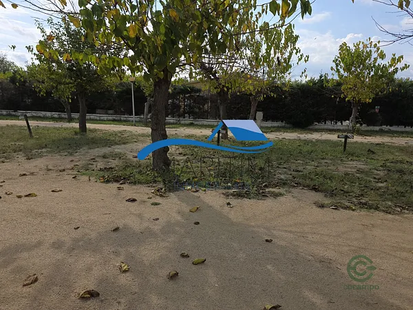 Spot image