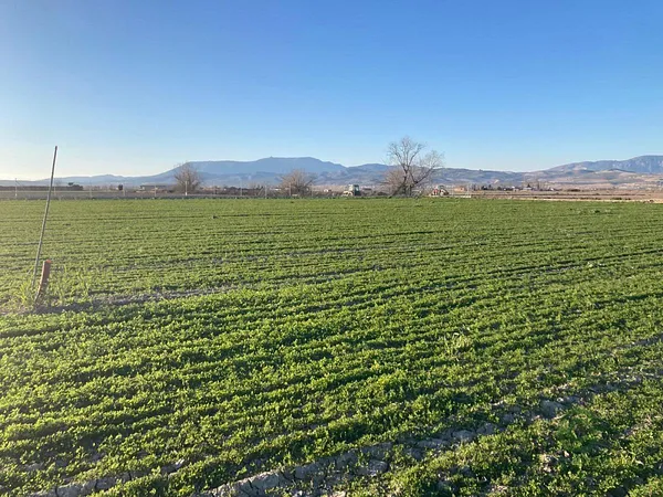 Finca rústica de 0,5308 ha en venta en Pinos puente, Granada