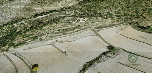 Spot image