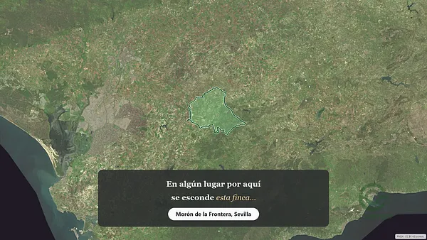 Spot image