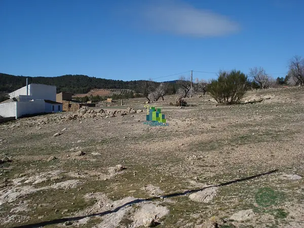 Spot image