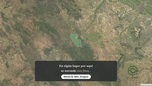 Spot image