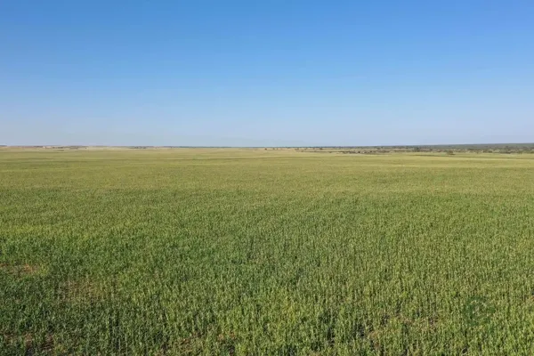 Finca rústica de 9386 ha en venta en San luis