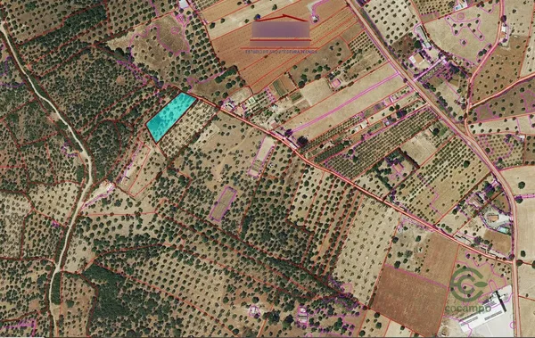 Spot image