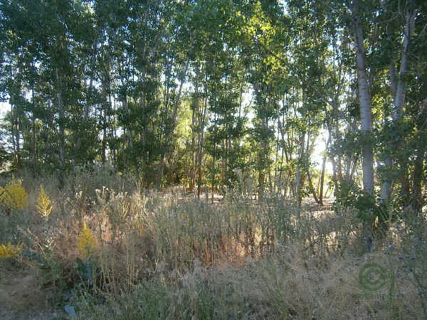 Casa de 0,766 ha en venta en Palencia, Palencia