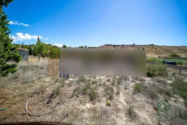 Spot image