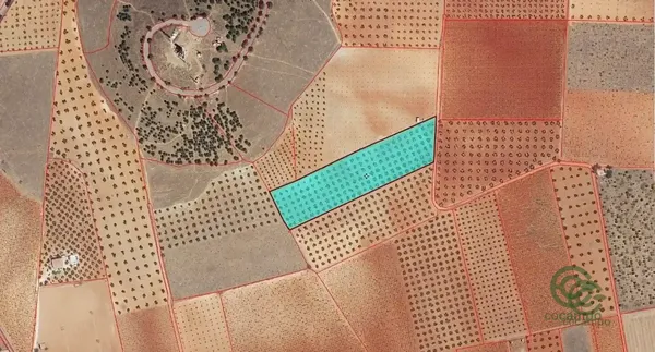 Finca agrícola de 1,38 ha en venta en Valdepenas, Ciudad real