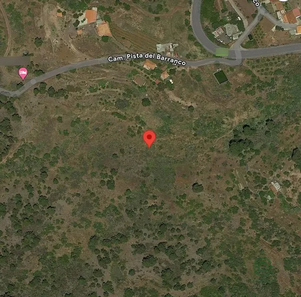 Spot image