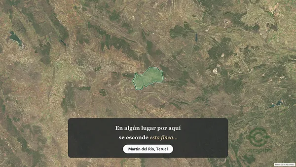 Spot image