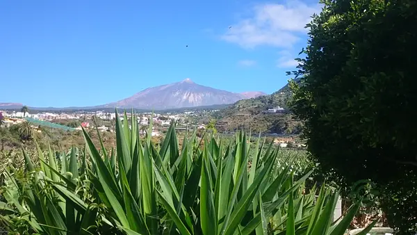 Finca rústica de 0,7 ha en venta en Tenerife