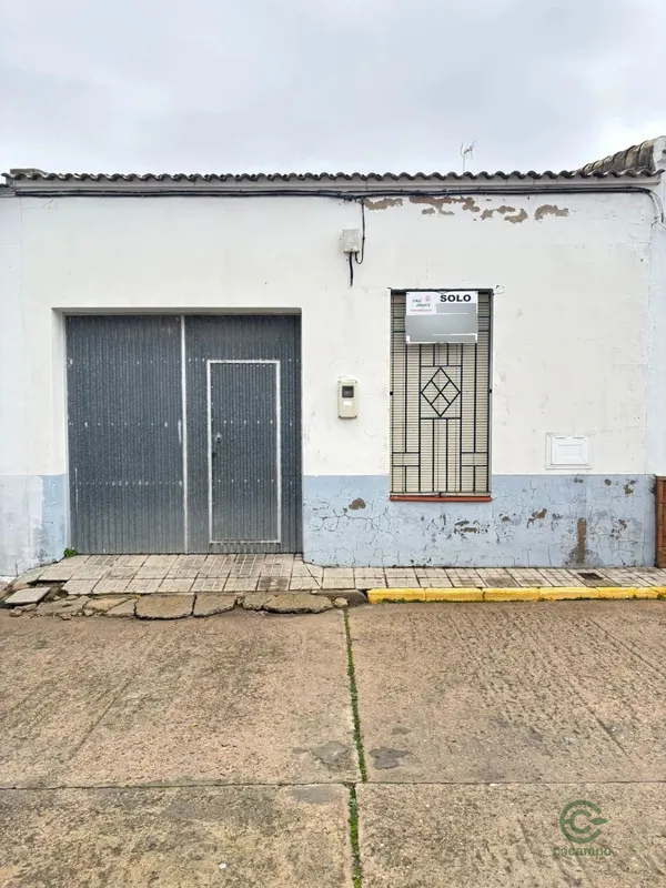 Spot image
