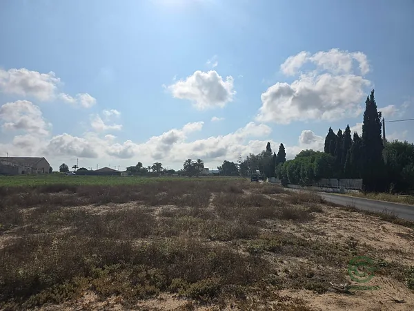 Spot image