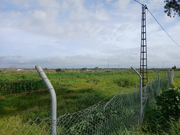 Finca agrícola de 1 ha en venta en Gibraleón, Huelva