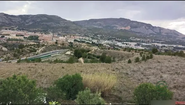 Spot image