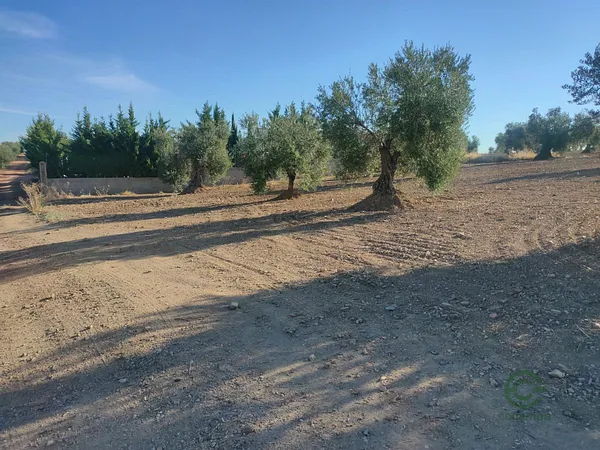 Finca agrícola de 0,3 ha en venta en Almendralejo, Badajoz
