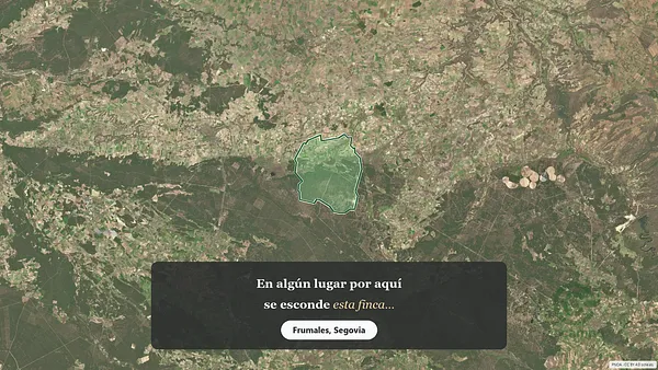 Spot image
