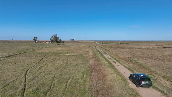 Finca ganadera de 1409 ha en venta en Buenos Aires
