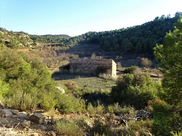 Finca rústica de 5,03 ha en venta en Maella, Zaragoza