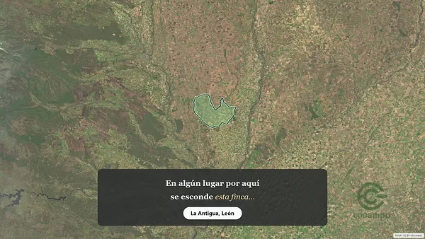 Spot image