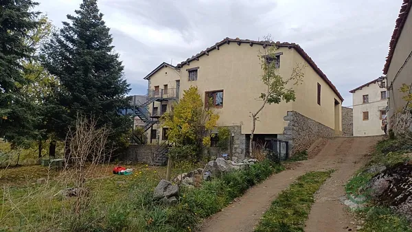Spot image