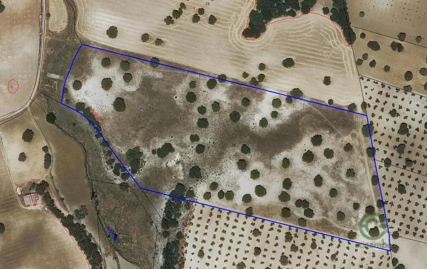 Spot image