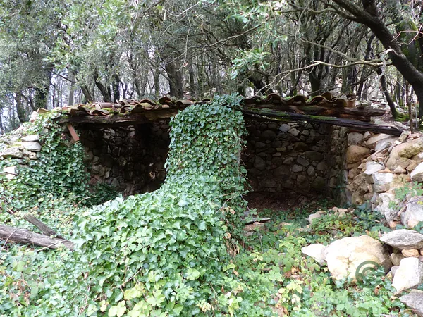 Finca agrícola de 15 ha en venta en Barcelona