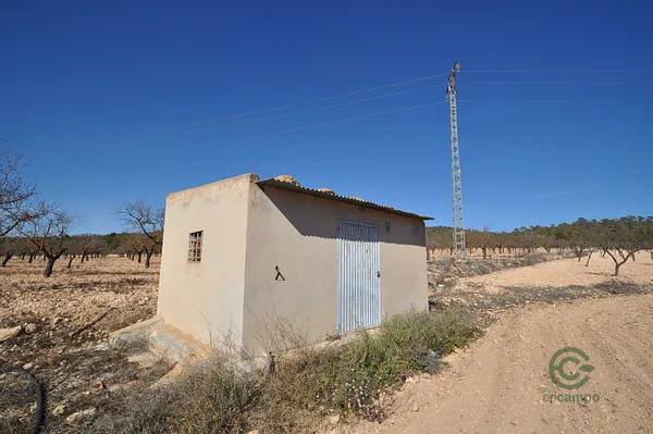 Finca agrícola de 1,2836 ha en venta en Monovar - monover, Alicante
