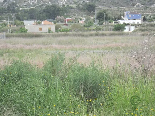 Spot image