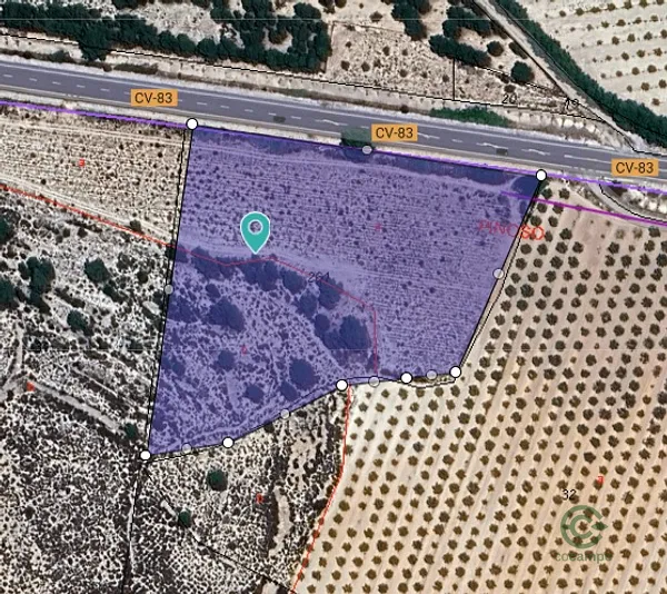 Spot image