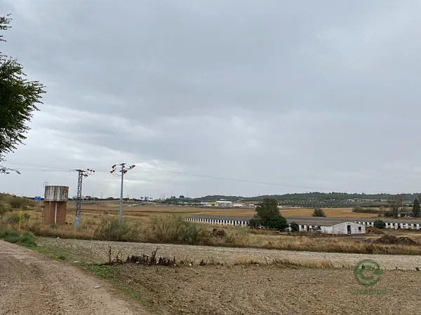 Finca rústica de 4 ha en alquiler en Torrejón de velasco, Madrid